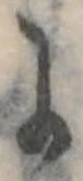 𛂌 위치 확인됨