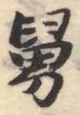 舅の位置