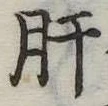 肝 위치 확인됨