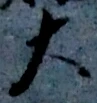 글자 大