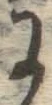 글자 に
