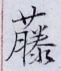 글자 藤