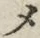 “メ”字