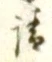 文字請