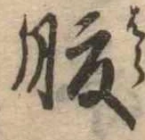 腹 위치 확인됨