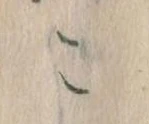 こ 위치 확인됨