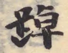 踔の位置