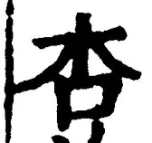 글자 杏