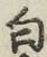 글자 白