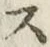 文字 ス