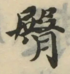位置 確認된 臀
