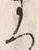 “つ”字