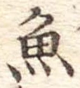 魚 위치 확인됨