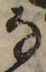 位置 確認된 𛂂