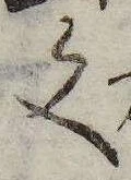 Located 文