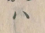 已定位𛂞