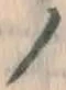 字ノ