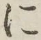 글자 に