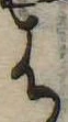 位置定マレル𛂦