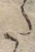 Đã định vị 𛁠