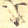 丁 위치 확인됨