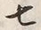 文字七