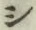 字シ