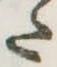 𛁠 위치 확인됨