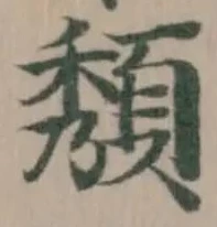 頺 위치 확인됨