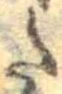 𛁠 위치 확인됨