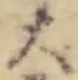 文字大