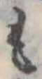 位置定マレル未定