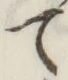 字て