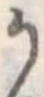 𛀚 위치 확인됨