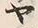 文字ヤ