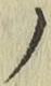 字ノ