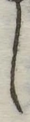 𛁅 위치 확인됨