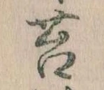 Đã định vị 苔