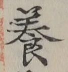 Chữ 養