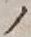 字ノ