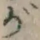 文字 が
