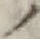 “ノ”字