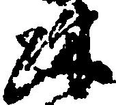 疎の位置