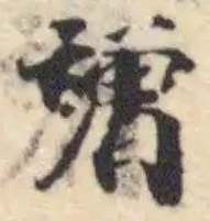 竲の位置