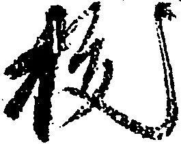 已定位抜