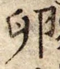 已定位卵