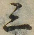 位置 確認된 三