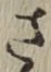 글자 さ