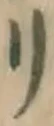 字リ