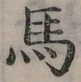 馬 위치 확인됨